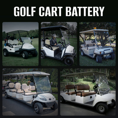 48v lithium golf cart battery - born for golf cart battery