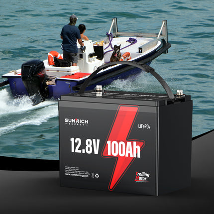 Collection image for: Marine Batteries